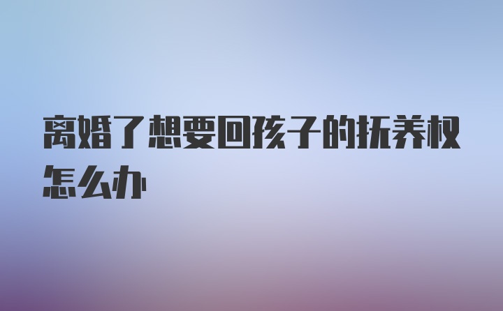 离婚了想要回孩子的抚养权怎么办