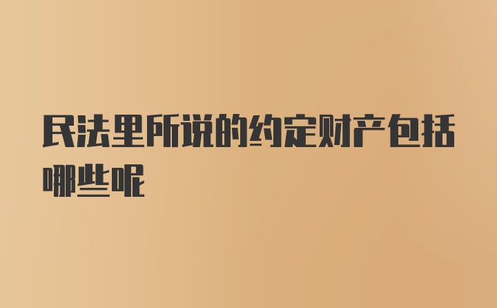 民法里所说的约定财产包括哪些呢