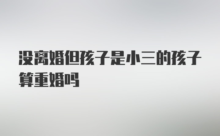 没离婚但孩子是小三的孩子算重婚吗