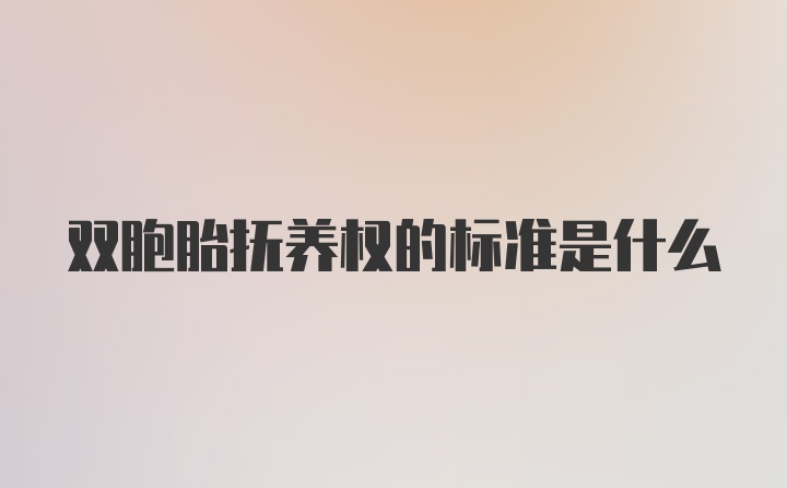 双胞胎抚养权的标准是什么