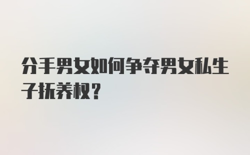 分手男女如何争夺男女私生子抚养权？