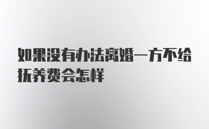 如果没有办法离婚一方不给抚养费会怎样