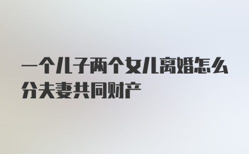 一个儿子两个女儿离婚怎么分夫妻共同财产