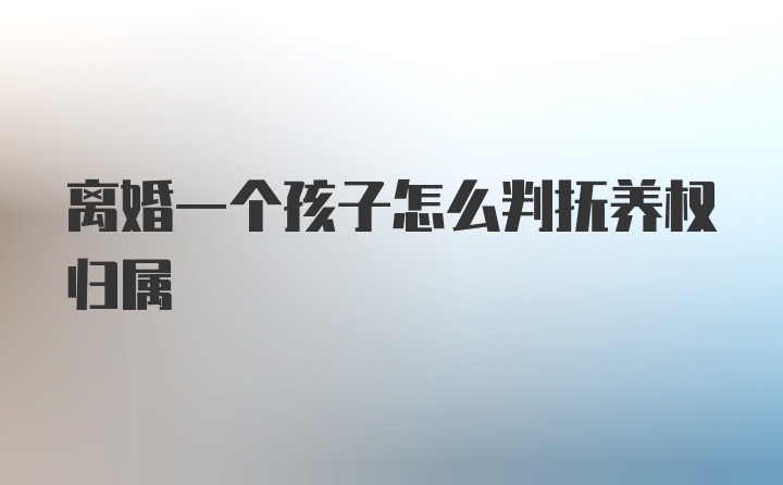 离婚一个孩子怎么判抚养权归属