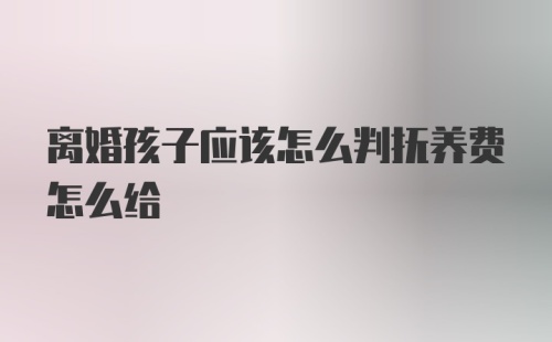 离婚孩子应该怎么判抚养费怎么给