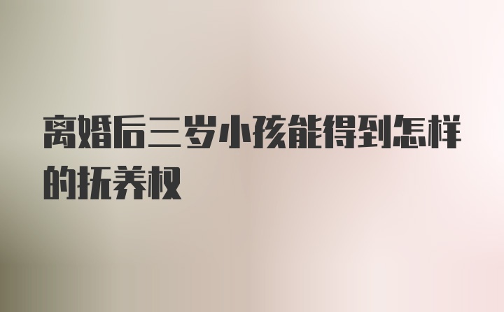 离婚后三岁小孩能得到怎样的抚养权