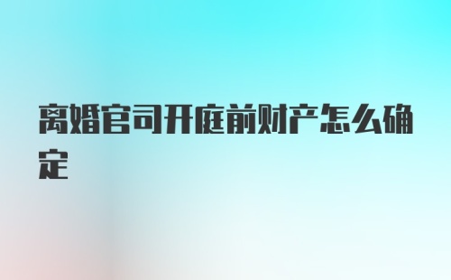 离婚官司开庭前财产怎么确定