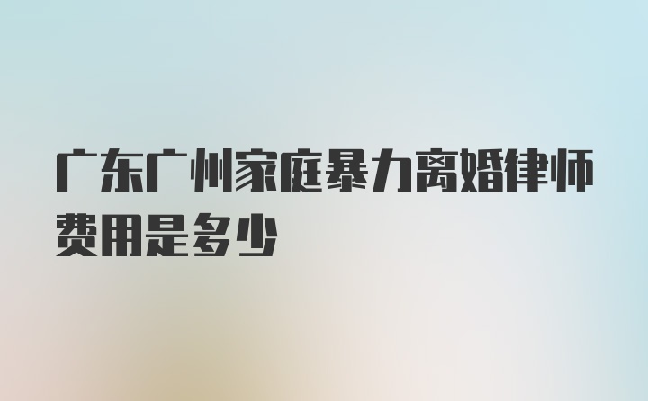 广东广州家庭暴力离婚律师费用是多少