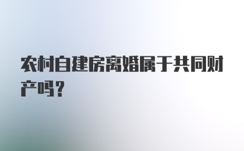 农村自建房离婚属于共同财产吗？