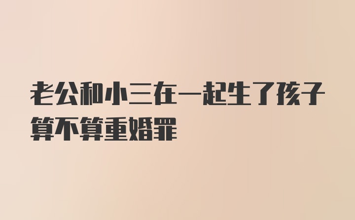 老公和小三在一起生了孩子算不算重婚罪