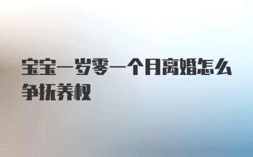 宝宝一岁零一个月离婚怎么争抚养权