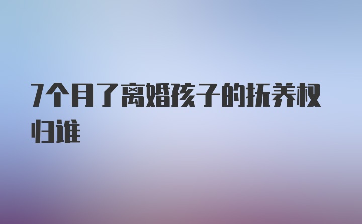 7个月了离婚孩子的抚养权归谁