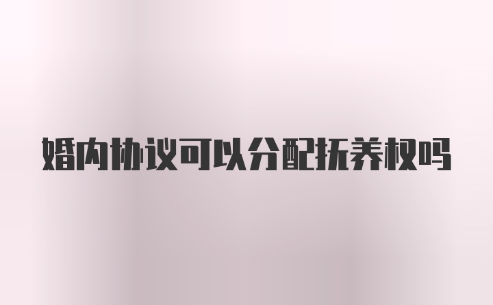 婚内协议可以分配抚养权吗