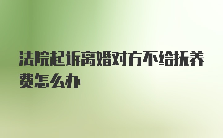 法院起诉离婚对方不给抚养费怎么办