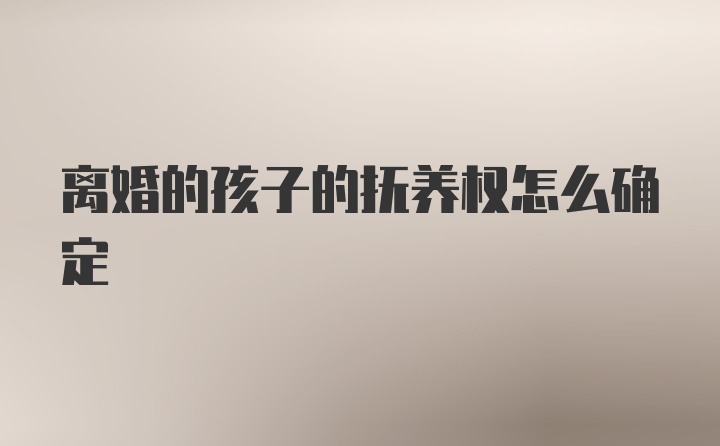 离婚的孩子的抚养权怎么确定