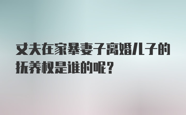 丈夫在家暴妻子离婚儿子的抚养权是谁的呢?