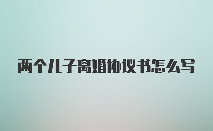 两个儿子离婚协议书怎么写