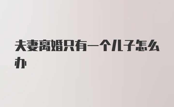 夫妻离婚只有一个儿子怎么办