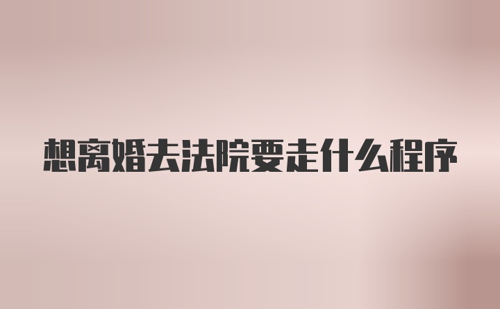 想离婚去法院要走什么程序