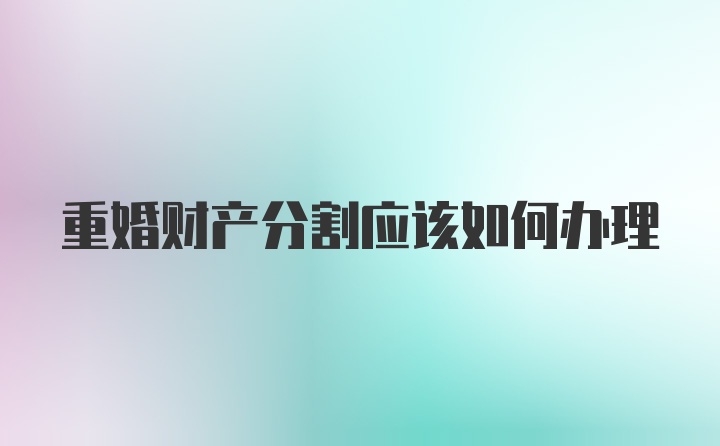 重婚财产分割应该如何办理