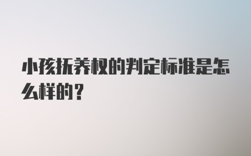 小孩抚养权的判定标准是怎么样的?