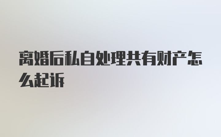 离婚后私自处理共有财产怎么起诉