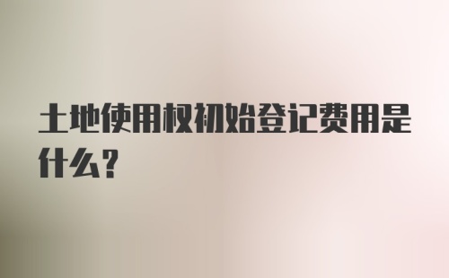 土地使用权初始登记费用是什么？