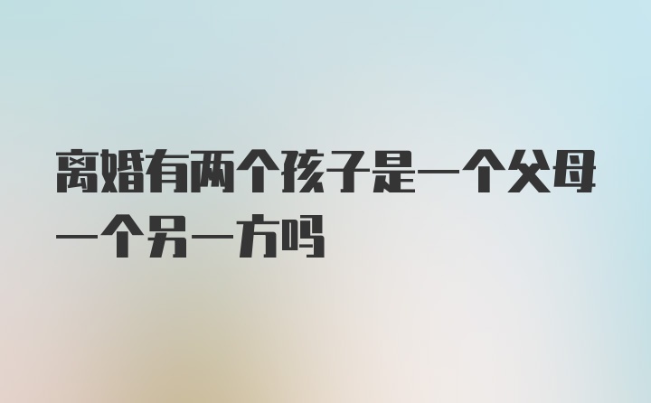 离婚有两个孩子是一个父母一个另一方吗