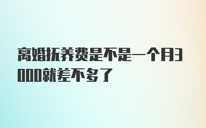 离婚抚养费是不是一个月3000就差不多了