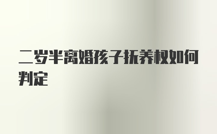 二岁半离婚孩子抚养权如何判定