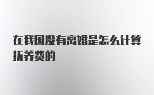 在我国没有离婚是怎么计算抚养费的