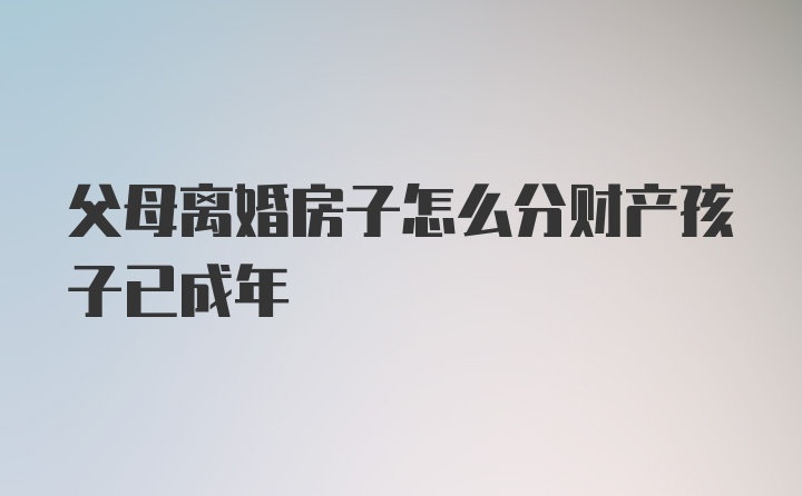 父母离婚房子怎么分财产孩子已成年