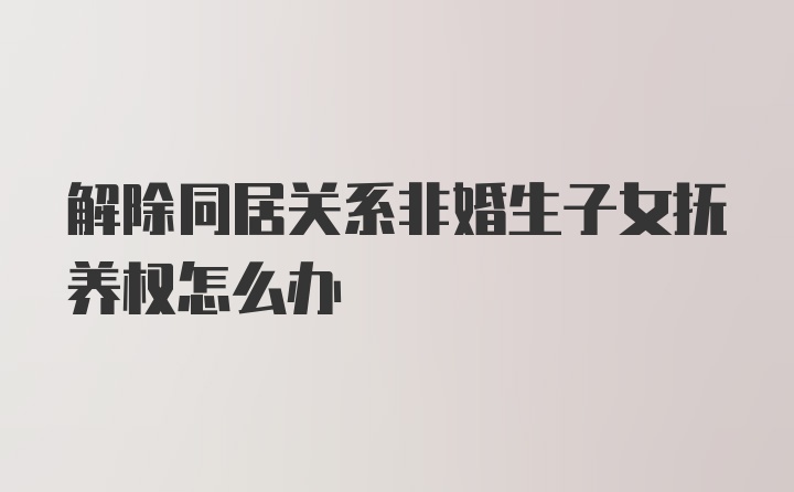 解除同居关系非婚生子女抚养权怎么办