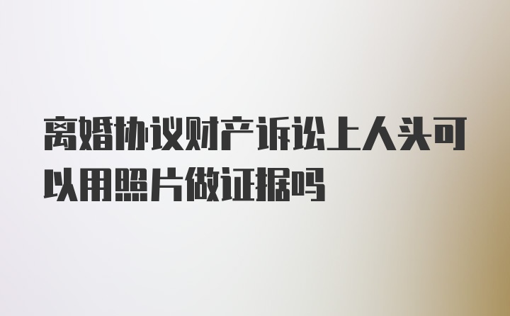 离婚协议财产诉讼上人头可以用照片做证据吗