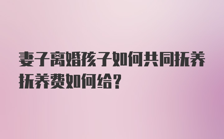 妻子离婚孩子如何共同抚养抚养费如何给？