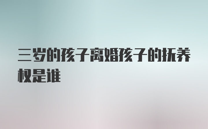 三岁的孩子离婚孩子的抚养权是谁