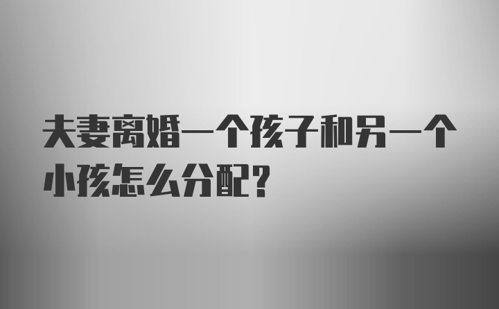 夫妻离婚一个孩子和另一个小孩怎么分配？