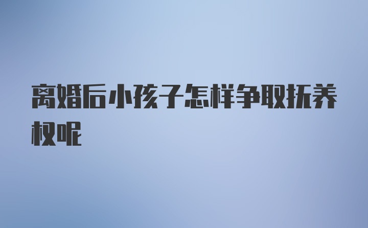 离婚后小孩子怎样争取抚养权呢