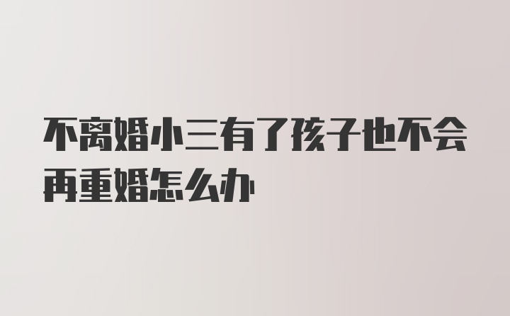 不离婚小三有了孩子也不会再重婚怎么办