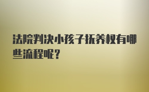 法院判决小孩子抚养权有哪些流程呢？