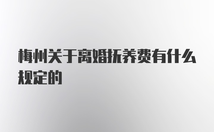 梅州关于离婚抚养费有什么规定的