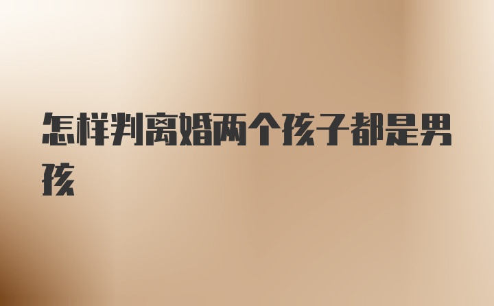 怎样判离婚两个孩子都是男孩