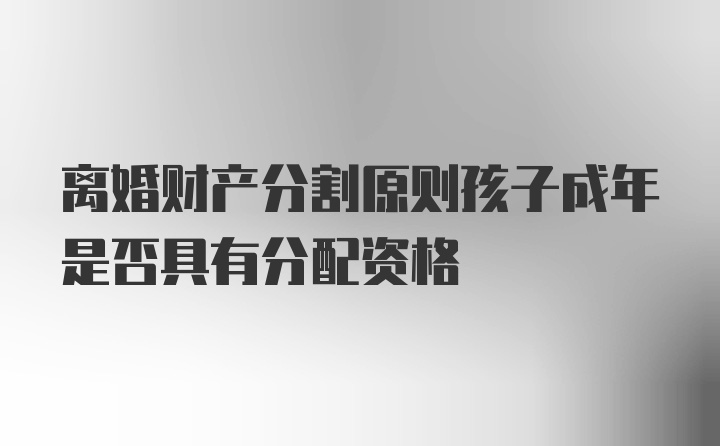 离婚财产分割原则孩子成年是否具有分配资格