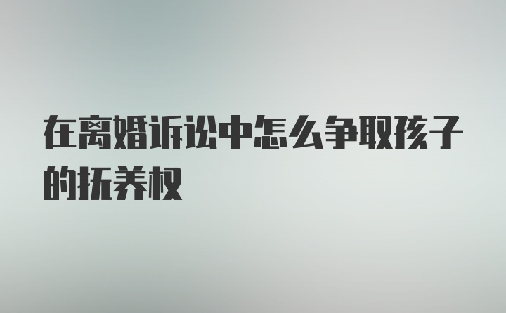 在离婚诉讼中怎么争取孩子的抚养权