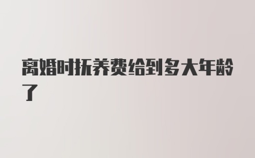 离婚时抚养费给到多大年龄了