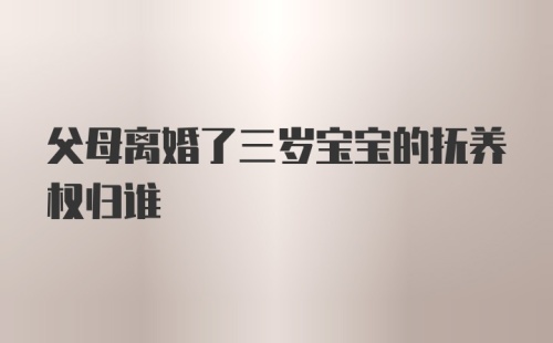 父母离婚了三岁宝宝的抚养权归谁