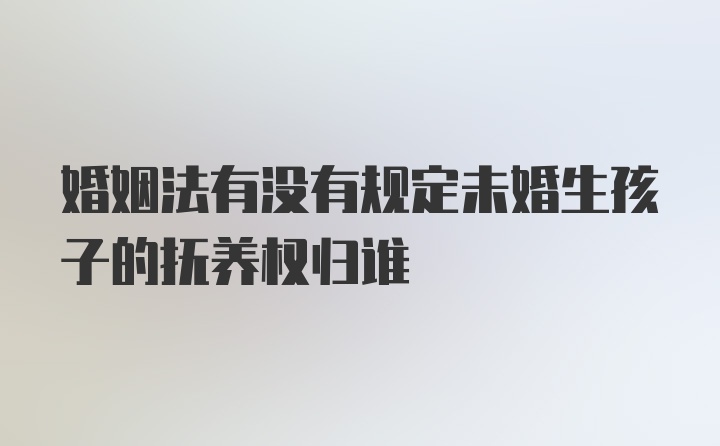 婚姻法有没有规定未婚生孩子的抚养权归谁