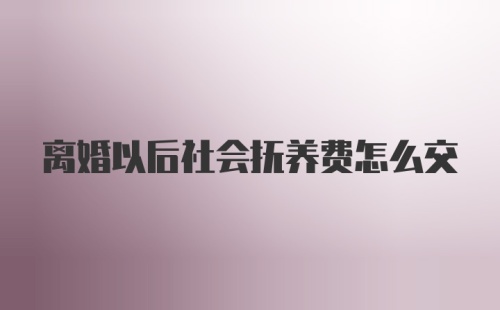 离婚以后社会抚养费怎么交