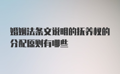 婚姻法条文说明的抚养权的分配原则有哪些