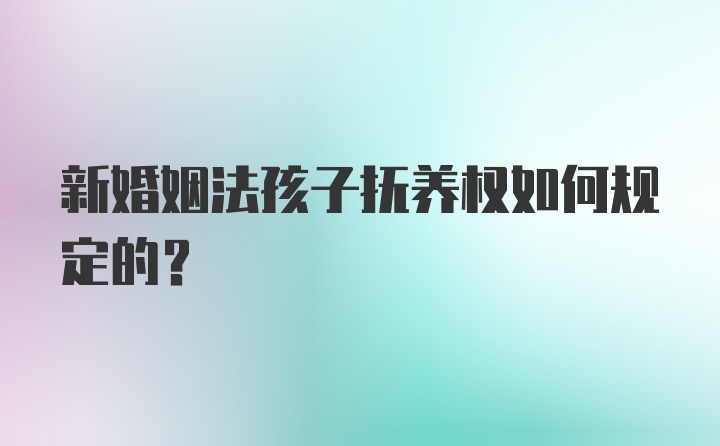 新婚姻法孩子抚养权如何规定的？